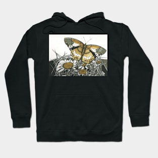 Butterfly design, a really detailed beautiful butterfly. Hoodie